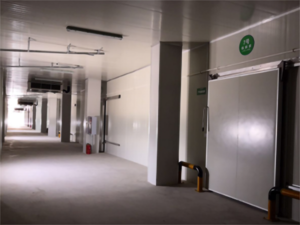 食品公司內(nèi)建造一個1000平包子、水餃速凍冷庫費用是多少？