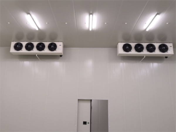 食品公司內(nèi)建造一個1000平包子、水餃速凍冷庫費用是多少？