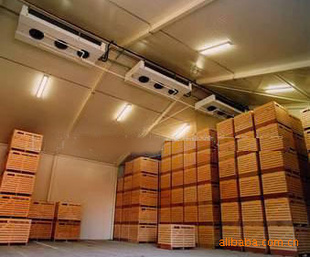 果蔬冷庫香蕉保鮮冷庫工程建造、香蕉保鮮技術