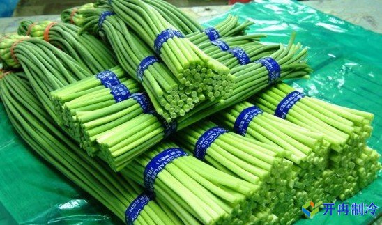 3000噸蒜薹冷庫前期規(guī)劃，冷庫造價預算多少錢